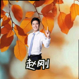 赵刚